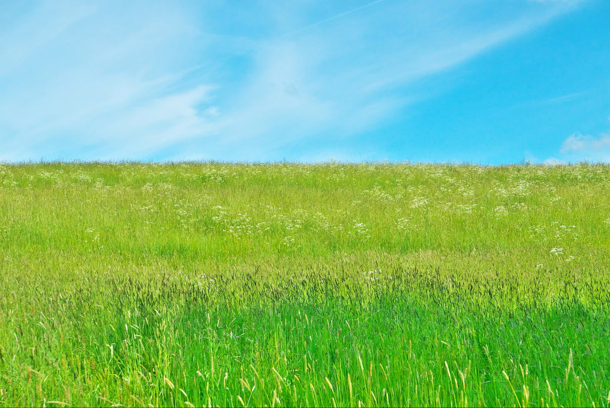 The Living Pasture